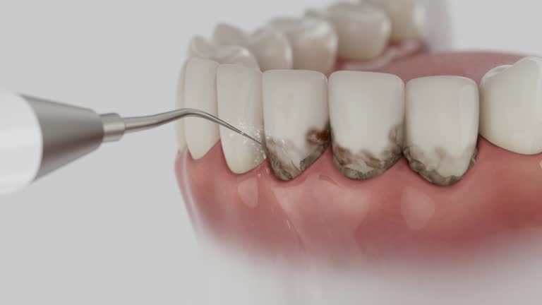 Reliable Dental contractor in Lafourche Crossing, LA by Dentist Open Now